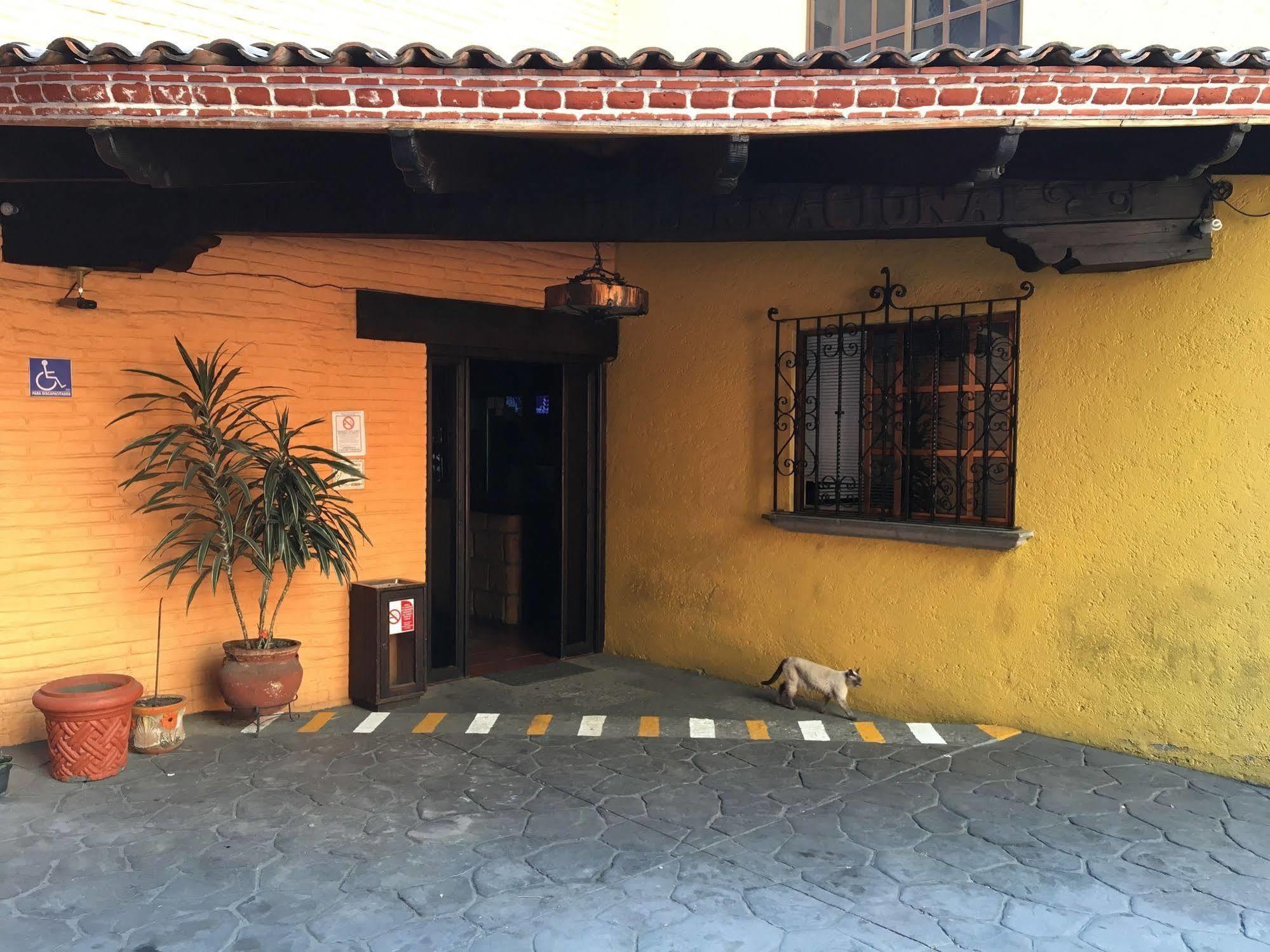 Hotel Playa Internacional Mexico City Ngoại thất bức ảnh